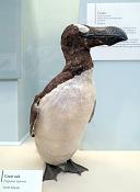 natural history museum londen 5-2018 5239